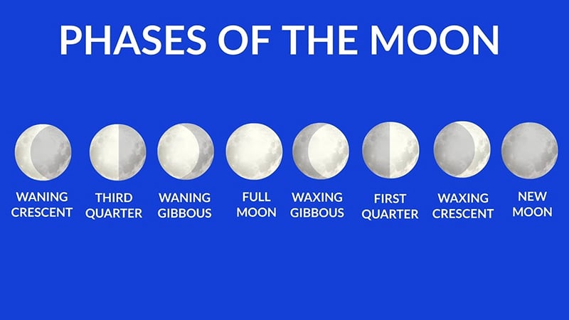 Moon Cycles in Blox Fruits Explained