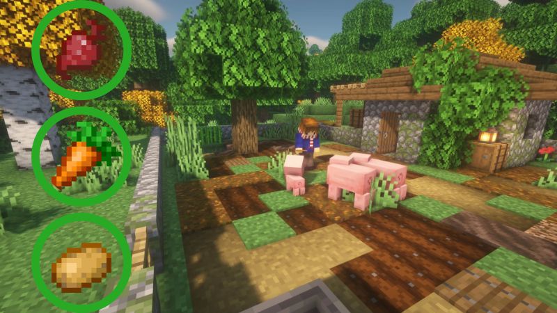 Que Mangent Les Cochons Dans Minecraft