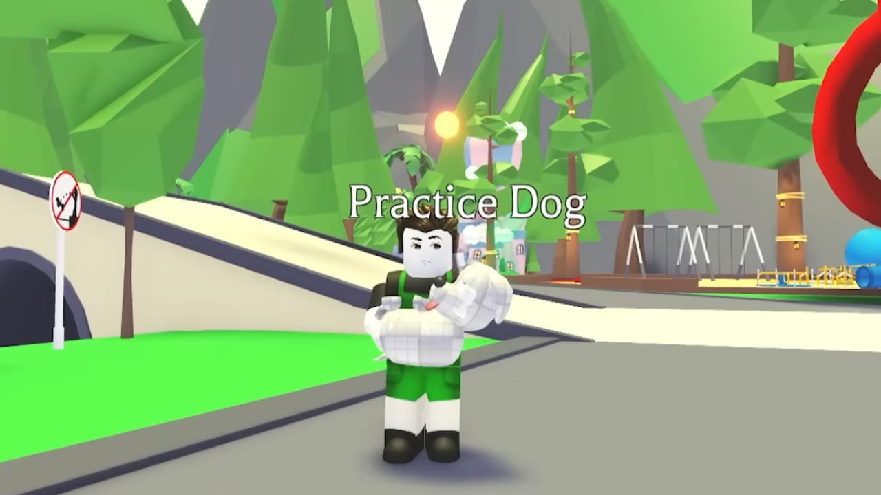 Adopt Me Practice Dog