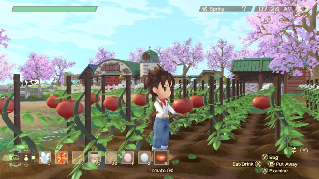 Story of Seasons: A Wonderful Life Blessed Tools Guide