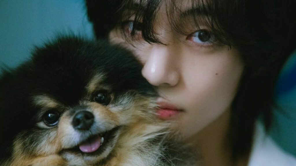 BTS' V's "Rainy Days" music video features his adorable pet dog Yeontan