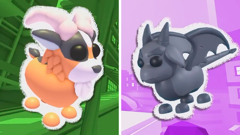 ROBLOX Adopt Me Pets - Trading Legendary Egg for Pet Egg (plus Last 2 Egg  Locations) 