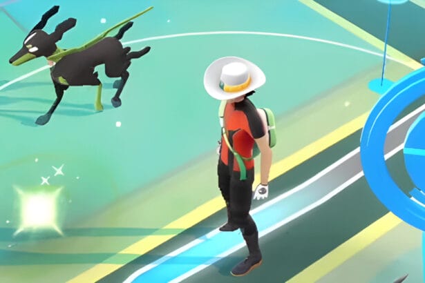 A Trainer stands beside their Pokemon in Pokemon GO