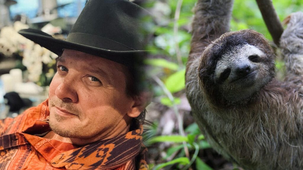 Jeremy Renner dresses up like a giant sloth for Halloween.