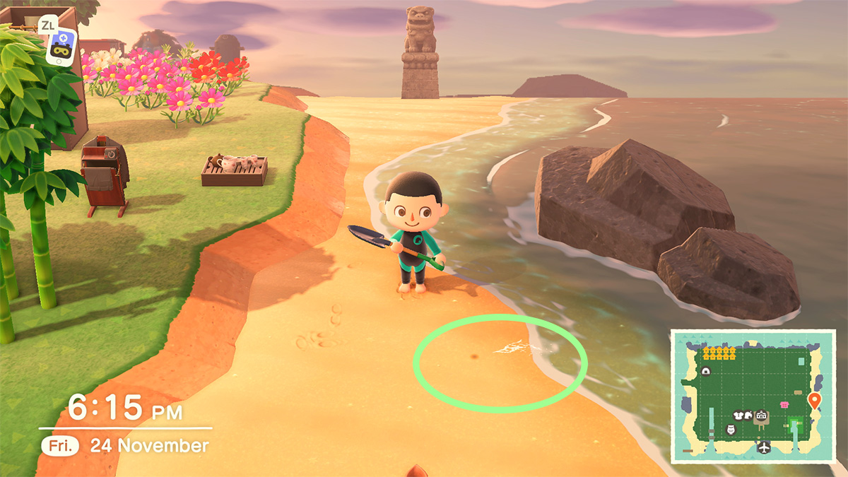 How To Get Manila Clams in Animal Crossing New Horizons