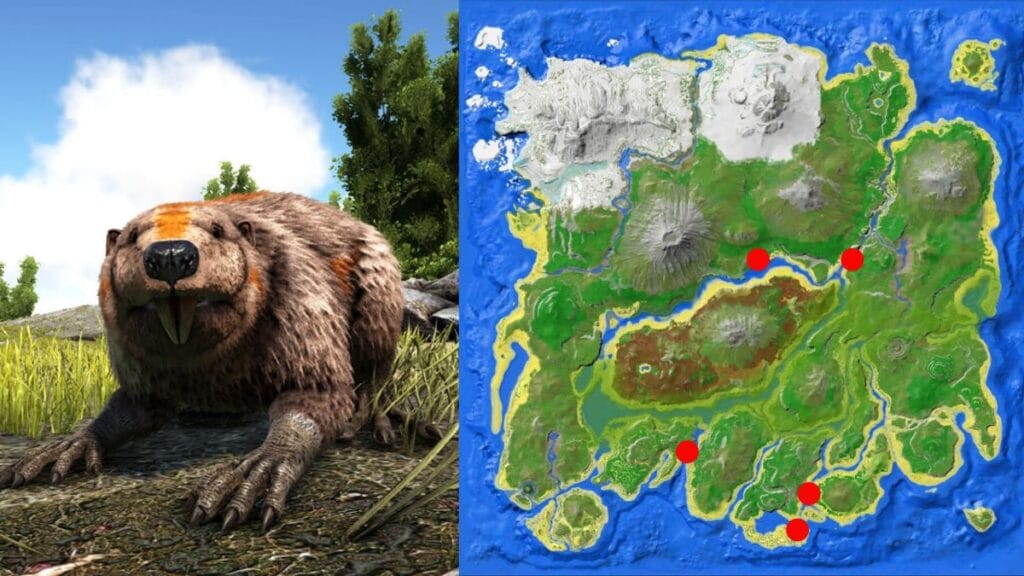 est Beaver Dam Map Locations in Ark: Survival Ascended