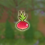 How To Get Shallot in Coral Island