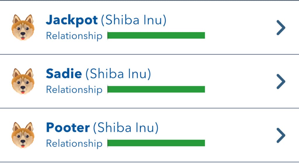 Shiba Inu Perfect Relationship
