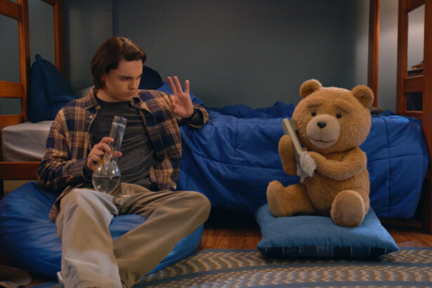 Ted TV Series