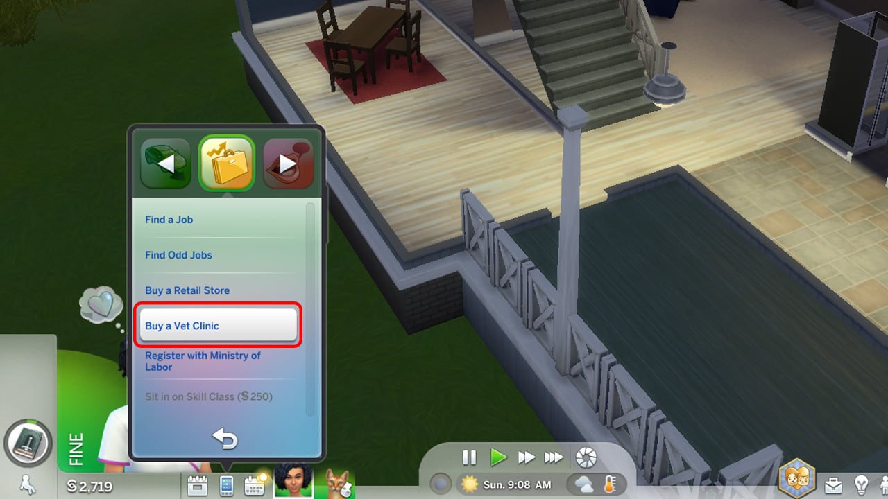 Buy a vet clinic from your Sim's phone.