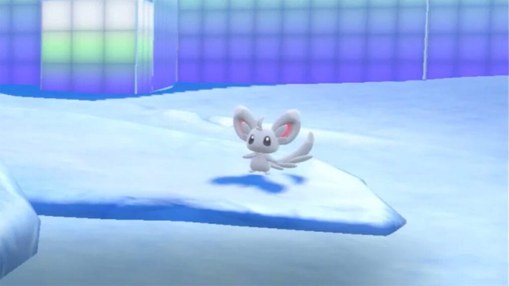 How To Get and Evolve Minccino in Pokemon Scarlet and Violet: The Indigo Disk