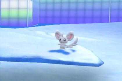 How To Get and Evolve Minccino in Pokemon Scarlet and Violet: The Indigo Disk
