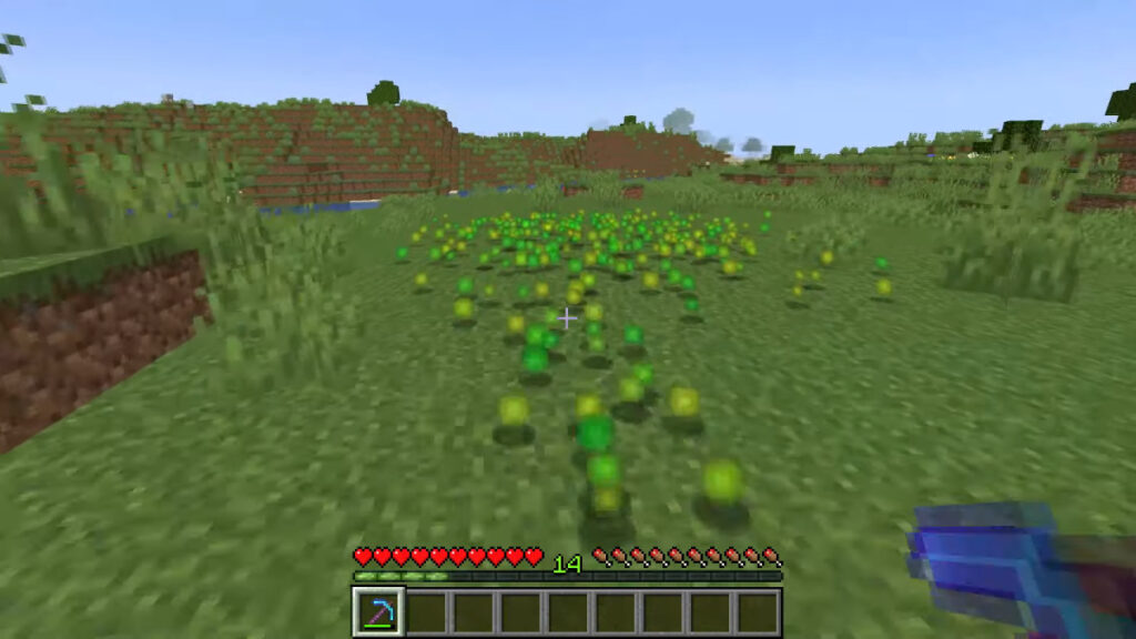 The player collects experience in Minecraft
