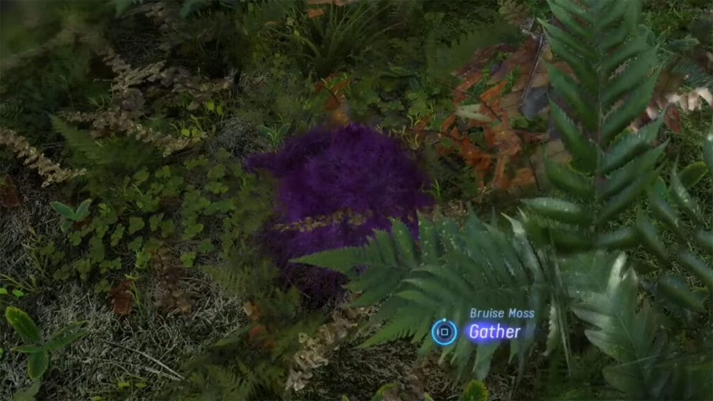 Where To Find Bruise Moss in Avatar: Frontiers of Pandora