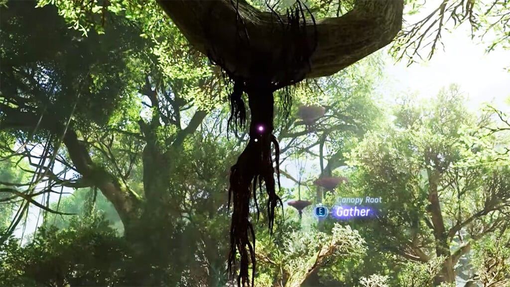 Where To Find Canopy Root in Avatar: Frontiers of Pandora