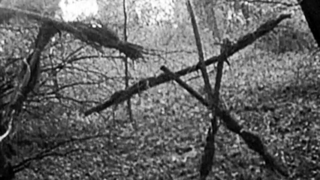 The tree dolls in The Blair Witch Project