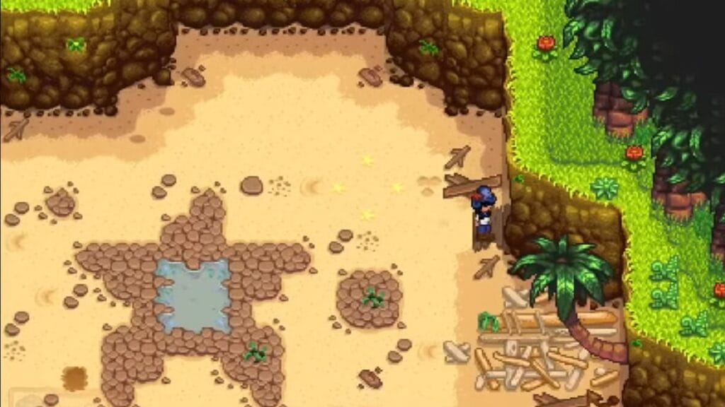 The Pirate Cove in Stardew Valley