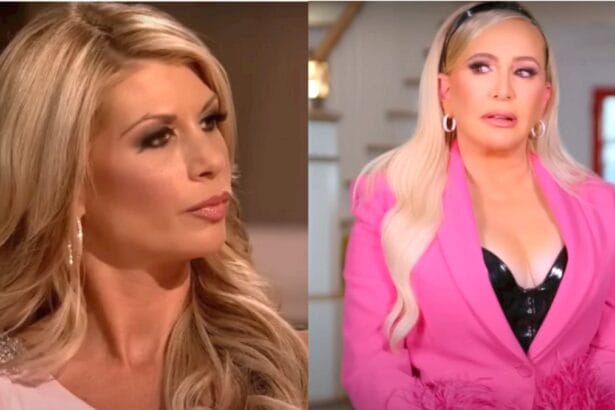 Real Housewives of Orange County: Alexis Bellino - Shannon Beador