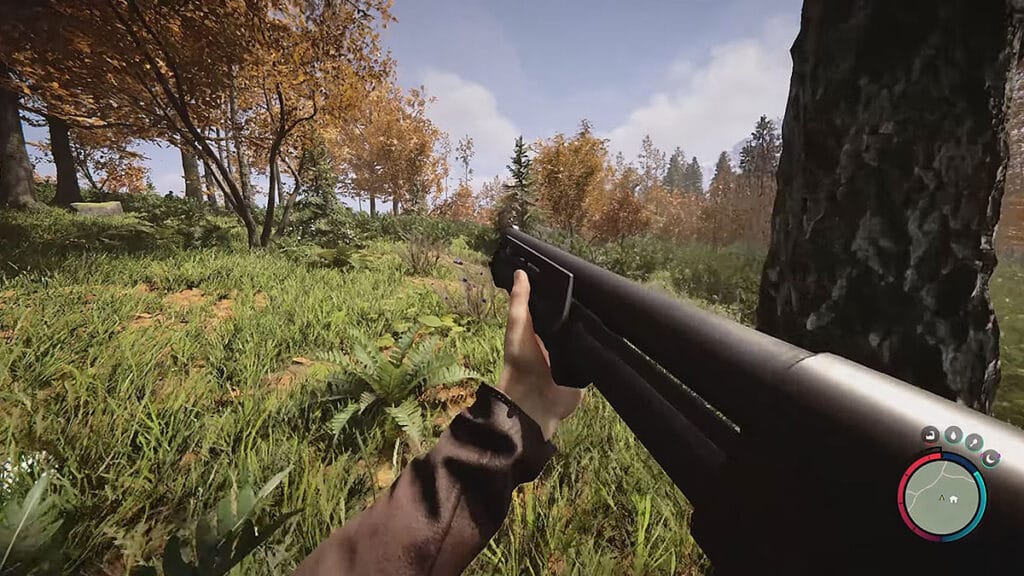 Shotgun screenshot in the game