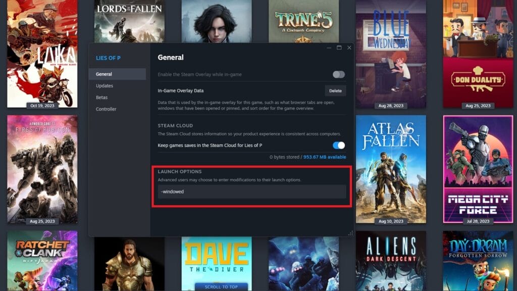 Changing the Setting From Steam