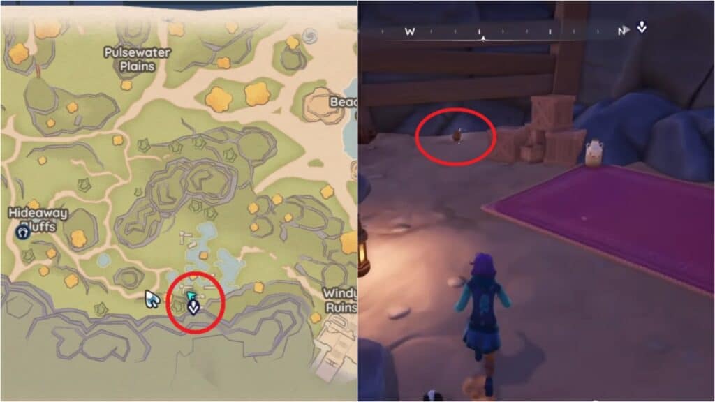 The location of Zeki's cat toy in Palia during the Better Days quest