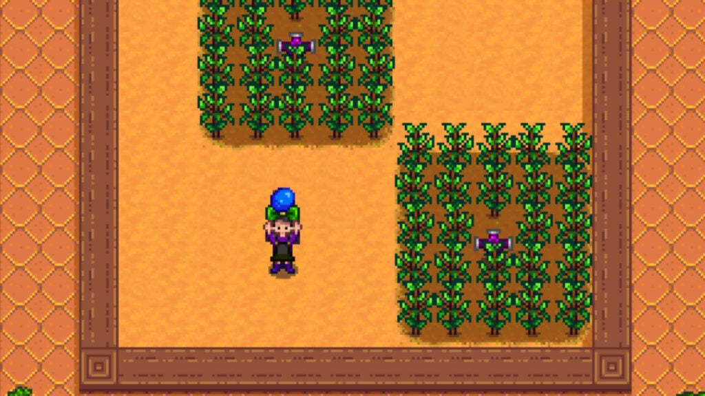 The player stands in their greenhouse surrounded by blueberries, one of the best summer crops in Stardew Valley