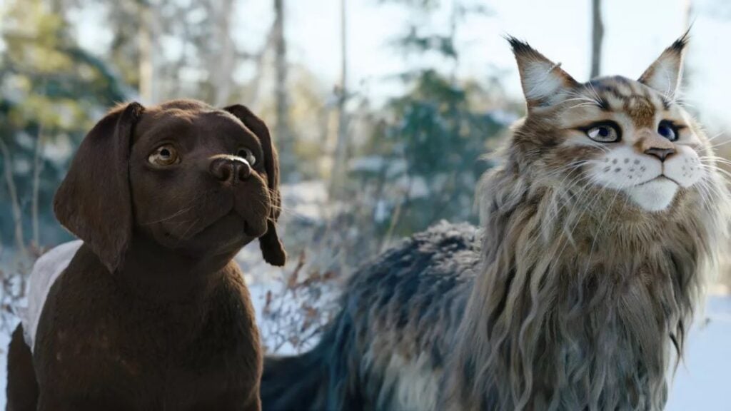 Cat and Dog on Netflix