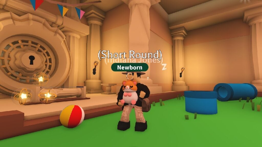 holding the hamster pet in roblox adopt me