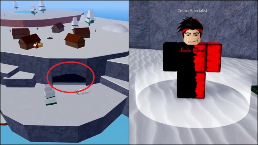 The location of the Color Specialist, used to change your Aura color in Roblox Blox Fruits