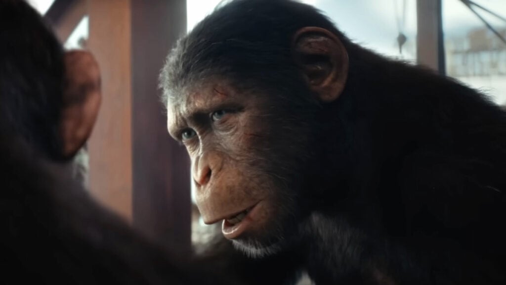 Noa in Kingdom of the Planet of the Apes