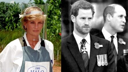 Princess Diana and sons Prince harry and William photo merg