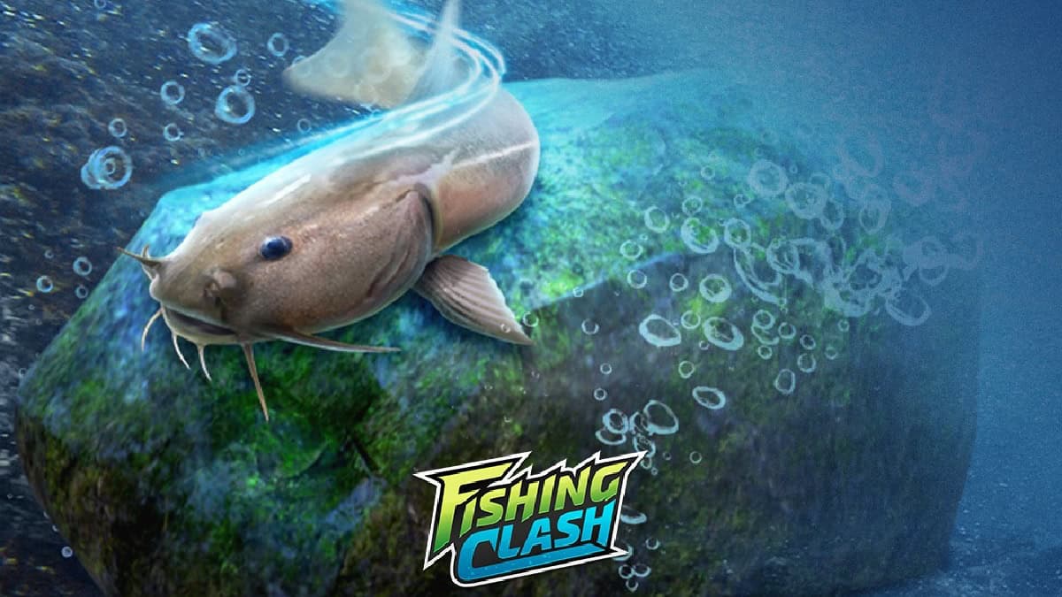 Fishing Clash: подарочные коды (май 2024 г.)