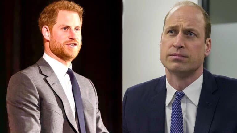 Prince William and Archie's dad Prince Harry photo merge.