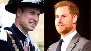 Prince William and his brother Prince Harry photo merge