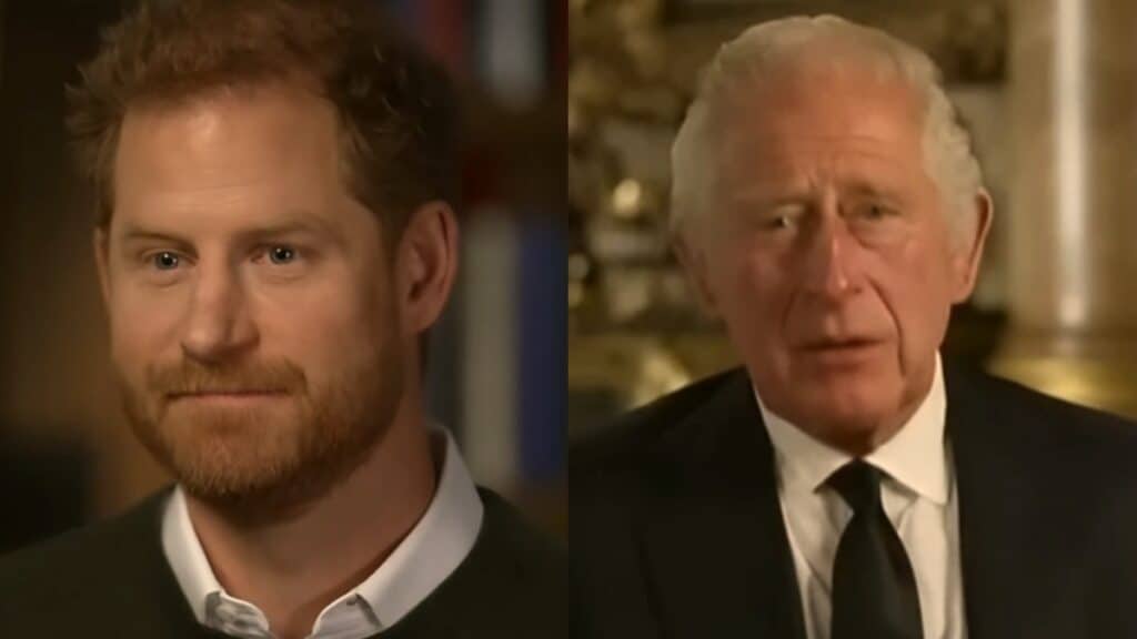Prince Harry and King Charles