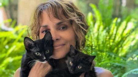Halle Berry Catwoman, Halle Berry cats