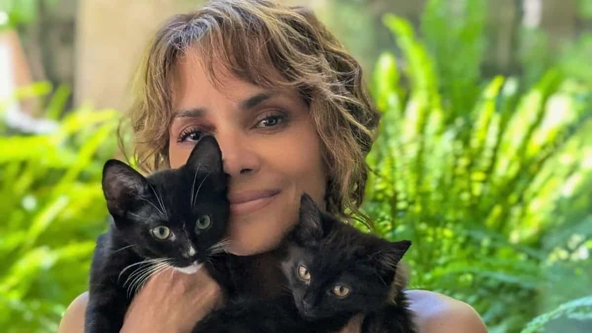 Halle Berry Uses Cats as Her Bra in Epic Photos To Celebrate 20 Years of Catwoman